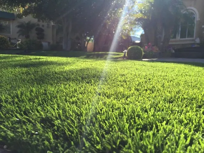Trusted landscape design for outdoor upgrades across Santa Rosa, CA - Purchase Green Artificial Grass