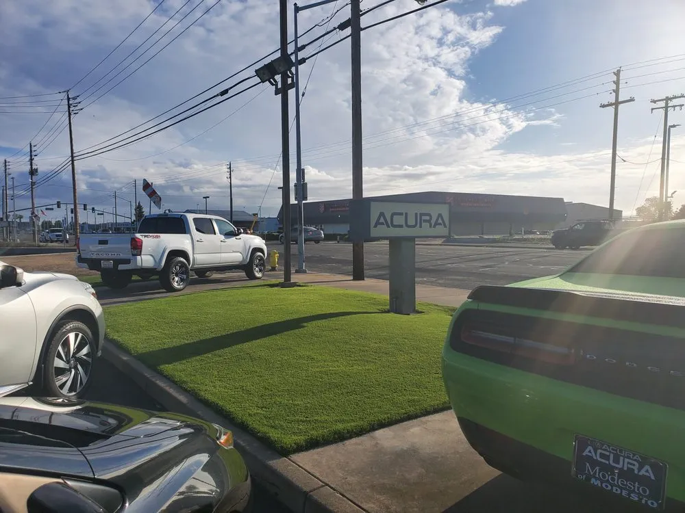 Reliable landscaping services for beautiful yards across Springfield, VA - Purchase Green Artificial Grass