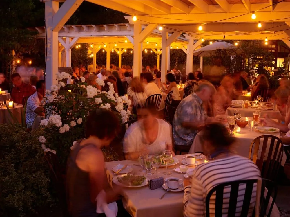 Top-rated yard cleanup service in Springfield, VA - Purchase Green Artificial Grass