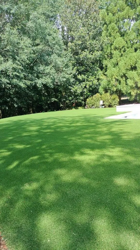 Professional lawn care service experts serving Cartersville, GA - Purchase Green Artificial Green - Atlanta North