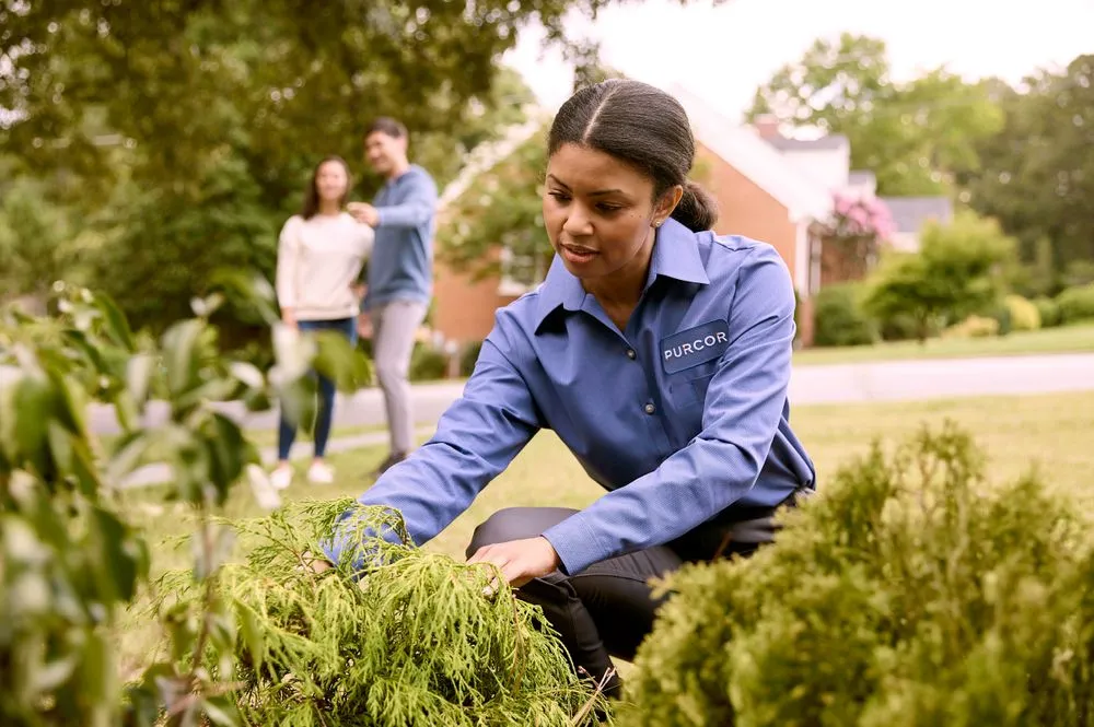 Professional landscape installation experts serving Miami, FL - PURCOR Pest Solutions