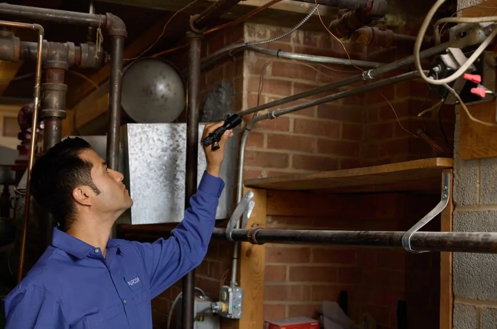 Local lawn care service in Miami, FL - PURCOR Pest Solutions