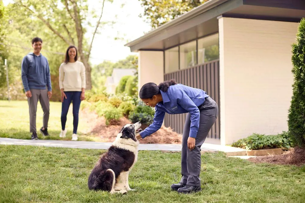 Professional yard cleanup service in Payette, ID - PURCOR Pest Solutions