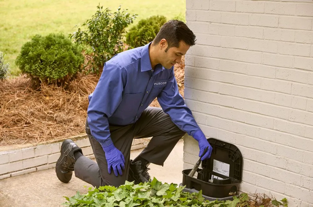 Affordable garden landscaping experts serving San Diego, CA - PURCOR Pest Solutions