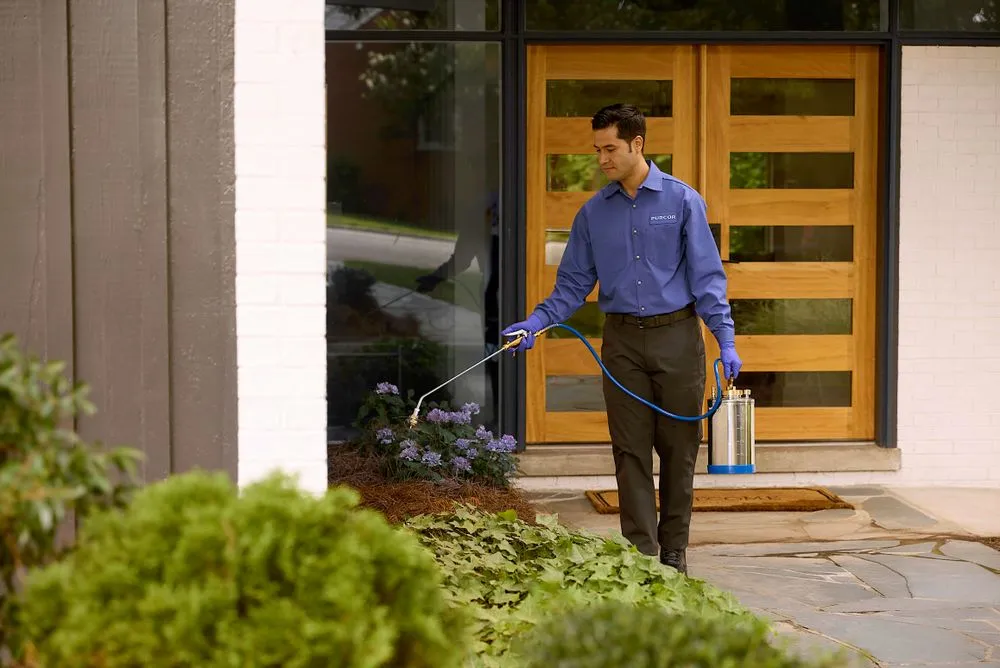 Affordable landscaping services in Weston, FL - PURCOR Pest Solutions