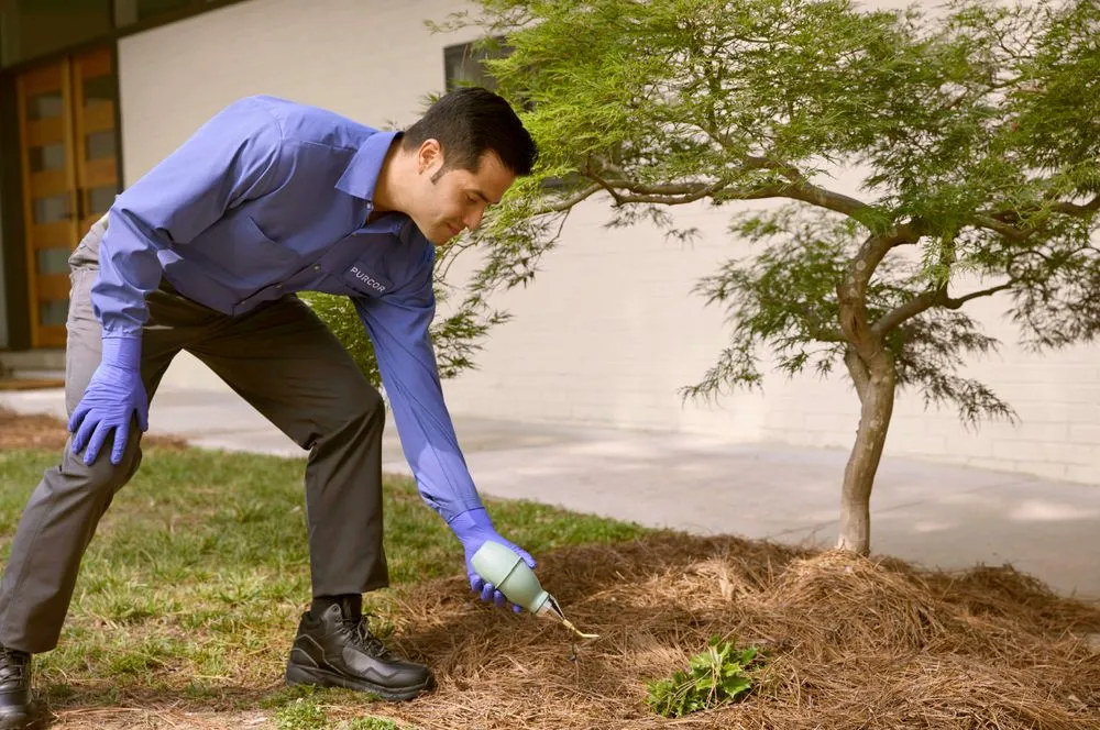 Reliable garden landscaping for beautiful yards across Winter Park, FL - PURCOR Pest Solutions