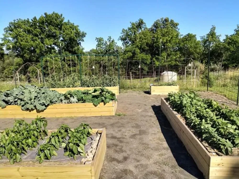 Trusted lawn mowing service near you in Denair, CA by Purdom's Lawn and Home Care Turlock