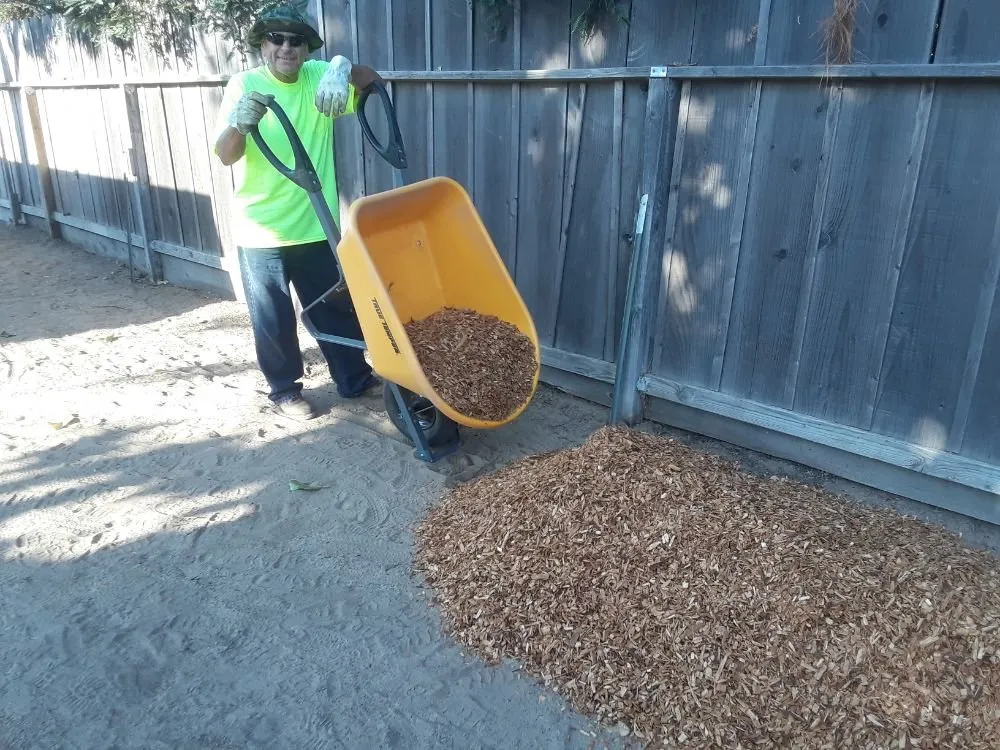 Top-rated landscape installation experts serving Denair, CA - Purdom's Lawn and Home Care Turlock