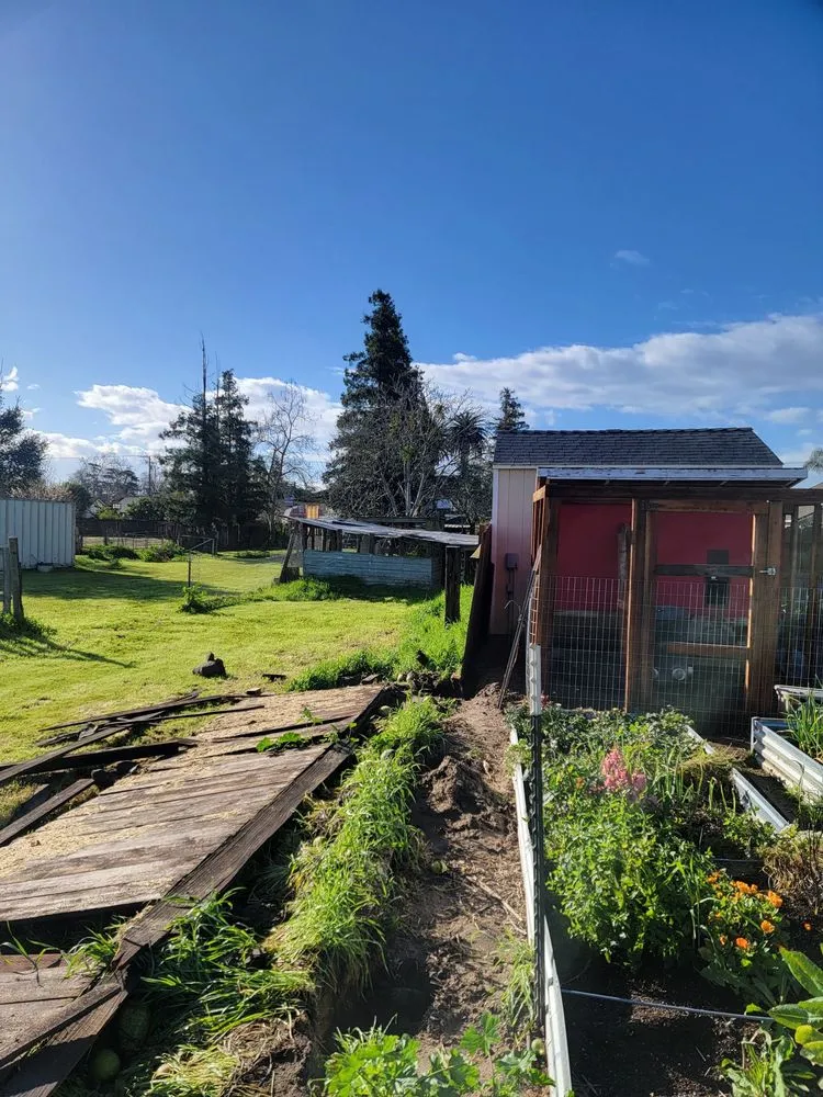 Expert yard cleanup service in Denair, CA by Purdom's Lawn and Home Care Turlock