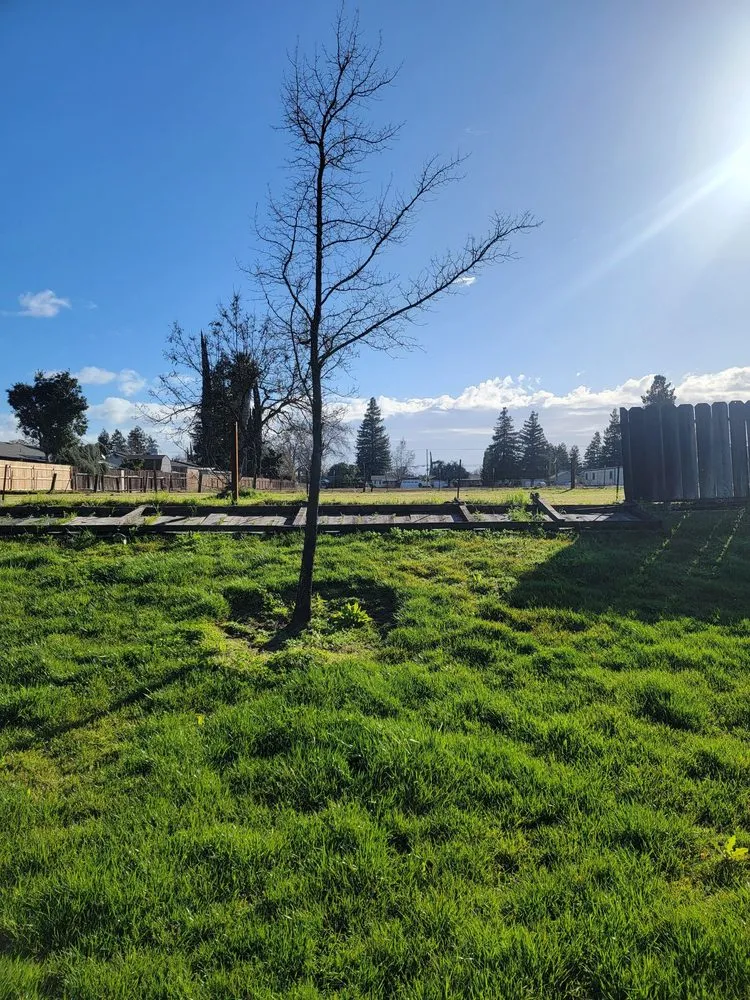 Top-rated landscape installation experts serving Denair, CA - Purdom's Lawn and Home Care Turlock