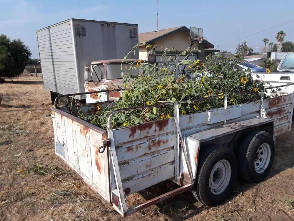 Trusted landscaping services in Denair, CA by Purdom's Lawn and Home Care Turlock