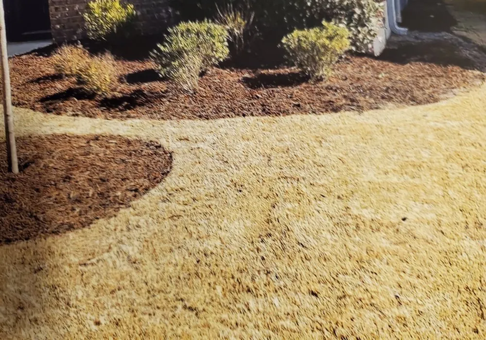 Affordable lawn mowing service in Dawsonville, GA by Purdy Perfection Lawn Care