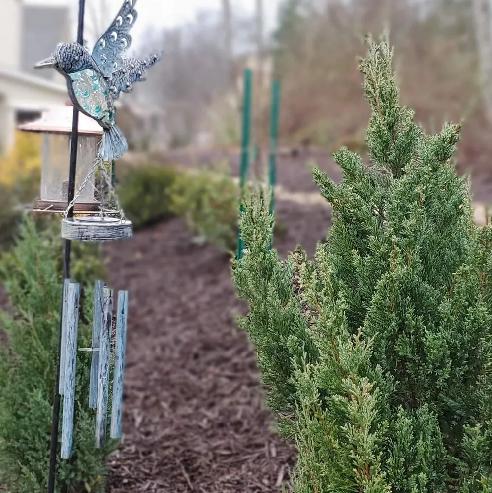 Top-rated lawn care service experts serving Dawsonville, GA - Purdy Perfection Lawn Care