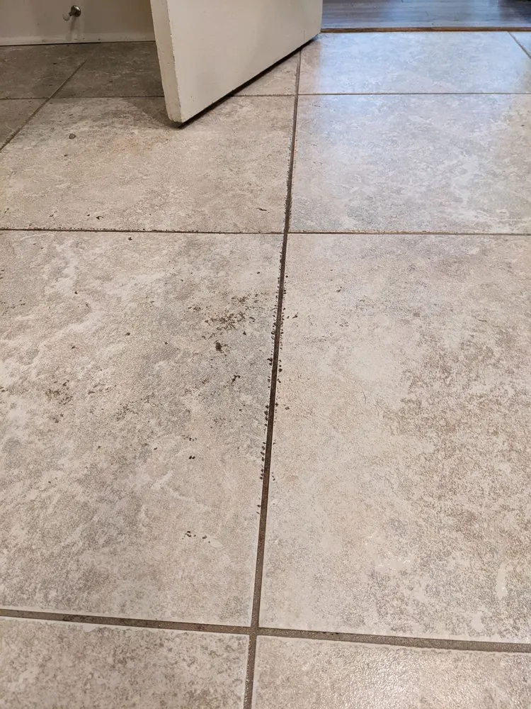 Trusted landscaping services experts serving North Little Rock, AR - Pure Cleaning Services