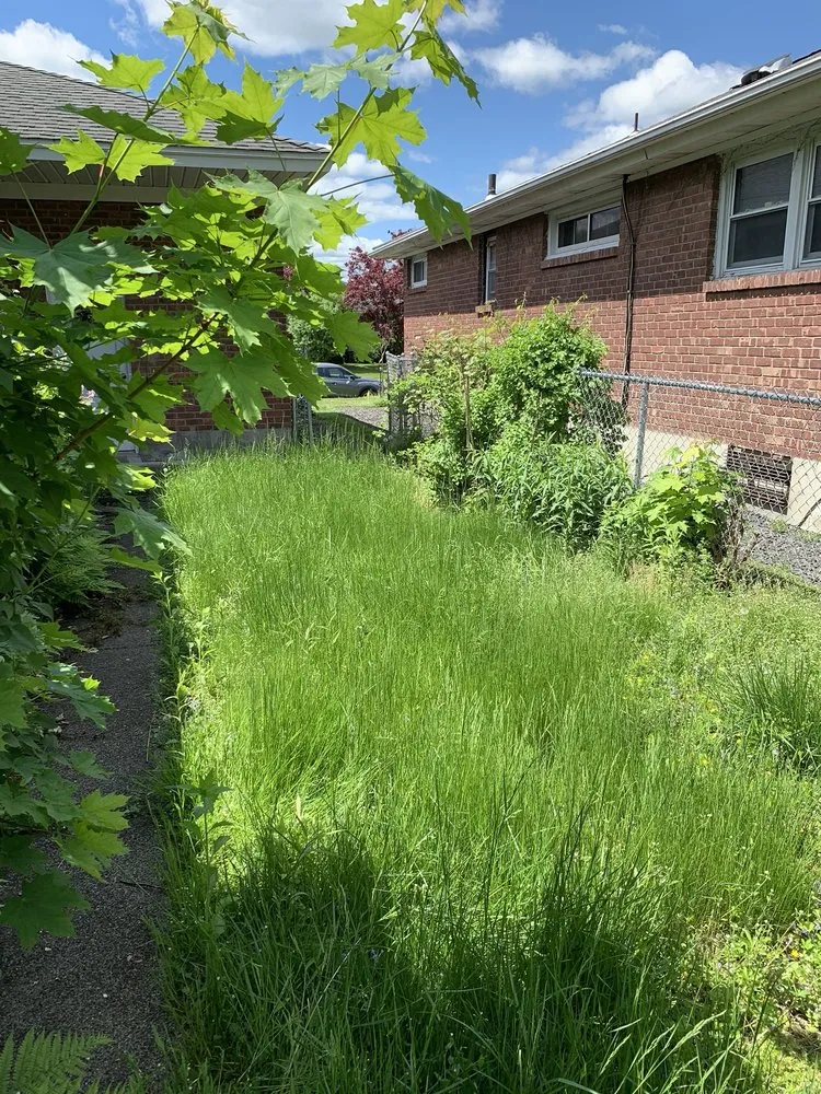 Professional yard maintenance in Albany, NY by Pure Elegance:Home-Care & Maintenance