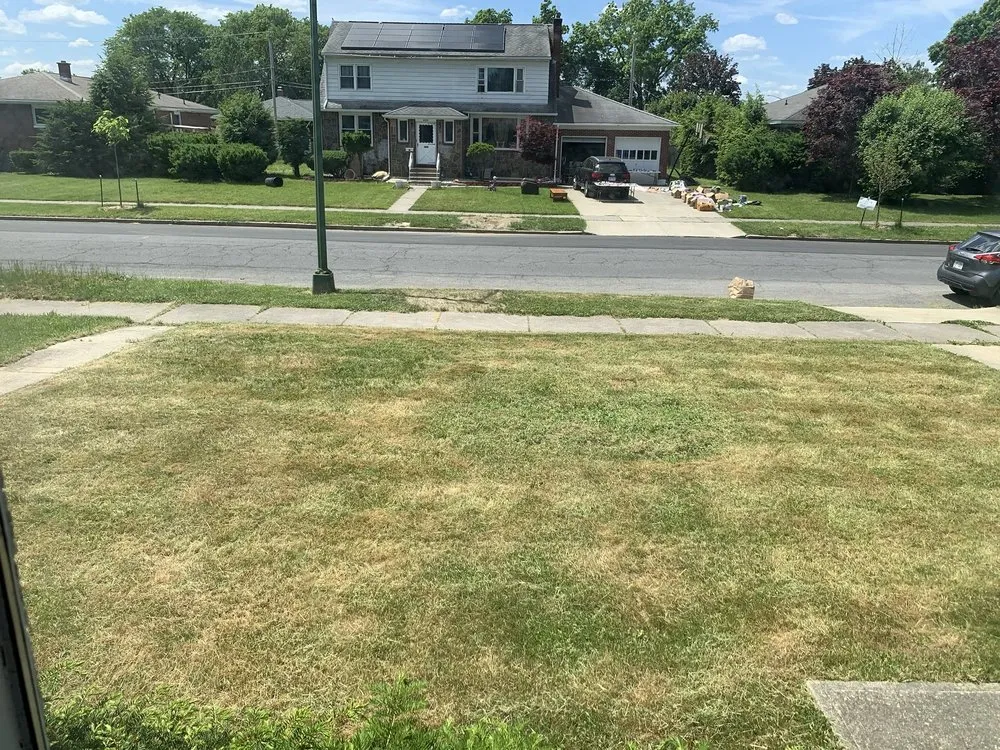 Trusted landscape design with custom design in Albany, NY by Pure Elegance:Home-Care & Maintenance