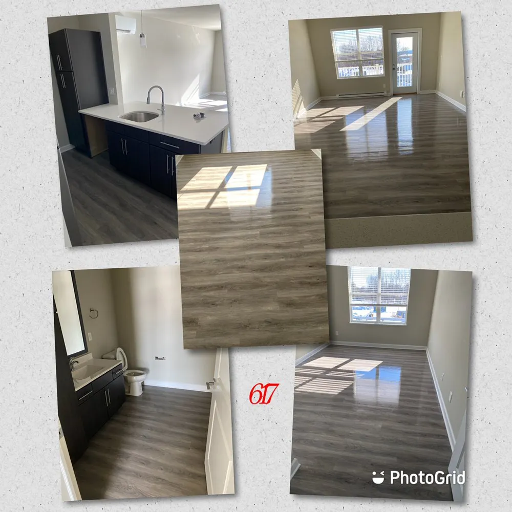 Trusted outdoor landscaping for outdoor upgrades in Albany, NY by Pure Elegance:Home-Care & Maintenance