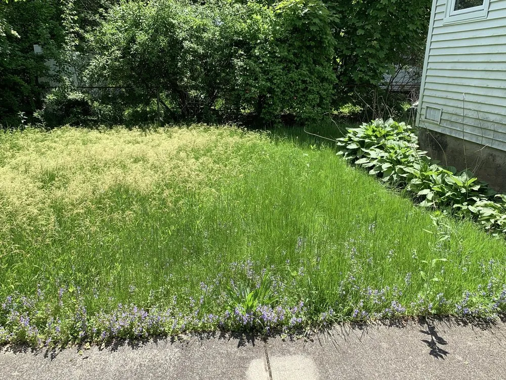 Reliable landscape installation in Albany, NY - Pure Elegance:Home-Care & Maintenance