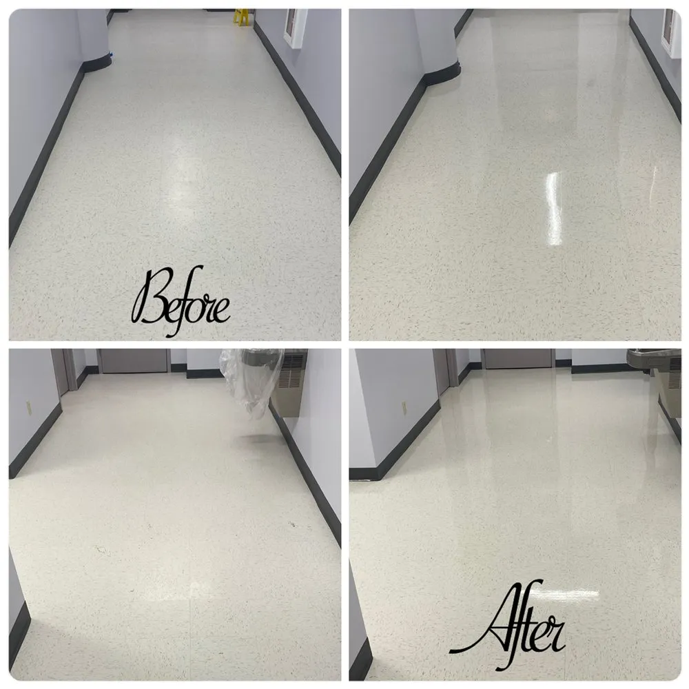 Professional lawn care service for homes across Albany, NY - Pure Elegance:Home-Care & Maintenance