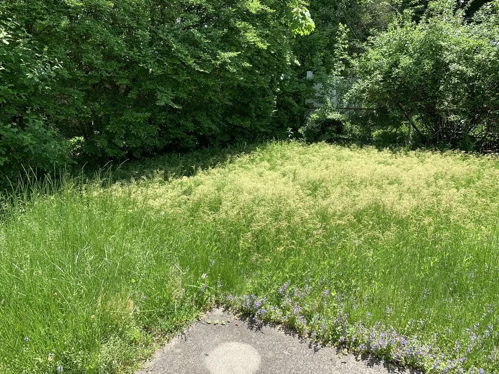 Top-rated outdoor landscaping for year-round maintenance in Albany, NY by Pure Elegance:Home-Care & Maintenance