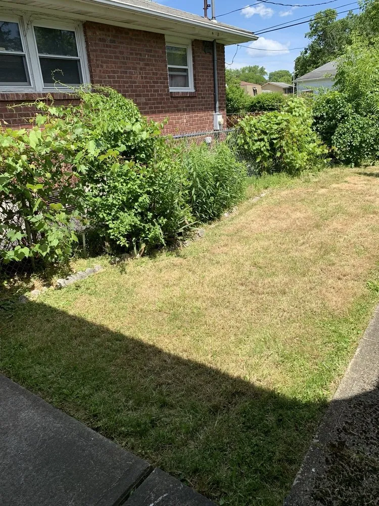 Reliable lawn mowing service in Albany, NY by Pure Elegance:Home-Care & Maintenance