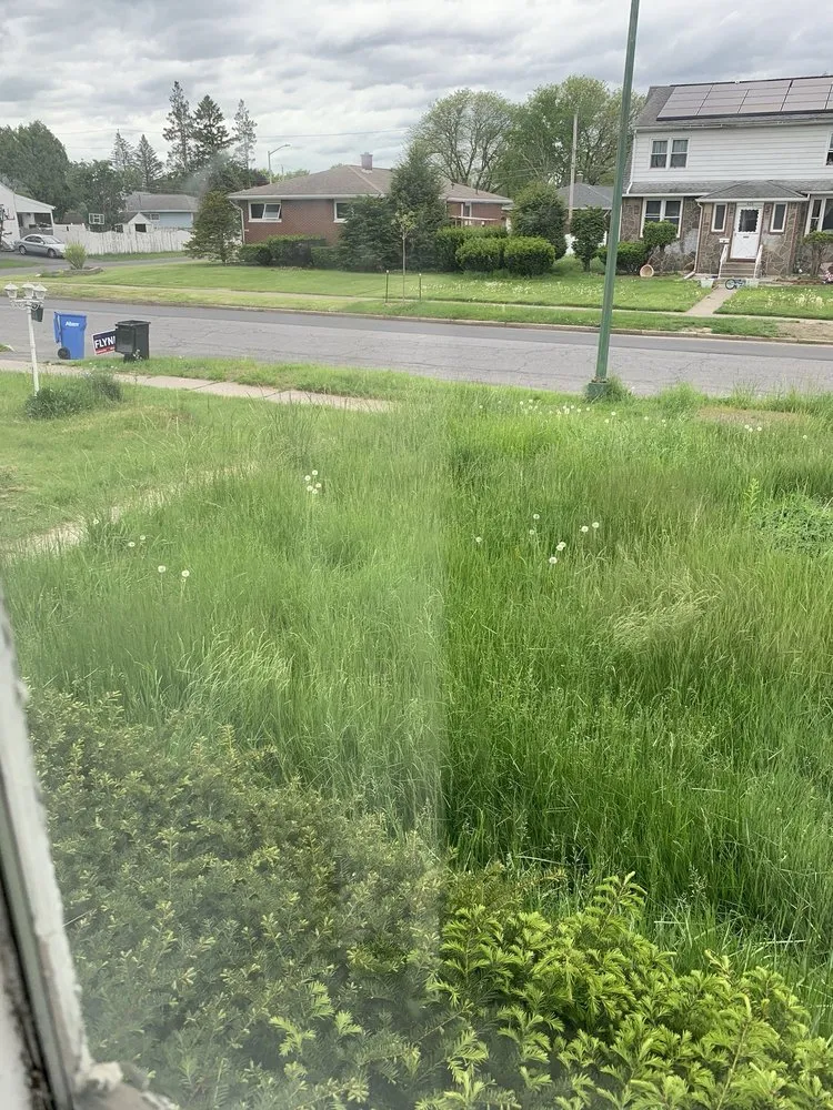 Trusted landscaping services in Albany, NY - Pure Elegance:Home-Care & Maintenance