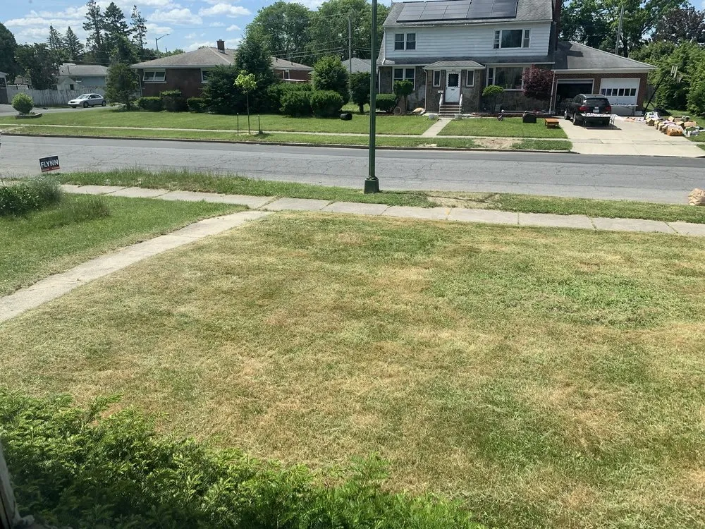 Trusted garden landscaping in Albany, NY - Pure Elegance:Home-Care & Maintenance