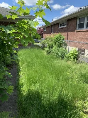 Pure Elegance:Home-Care & Maintenance Logo