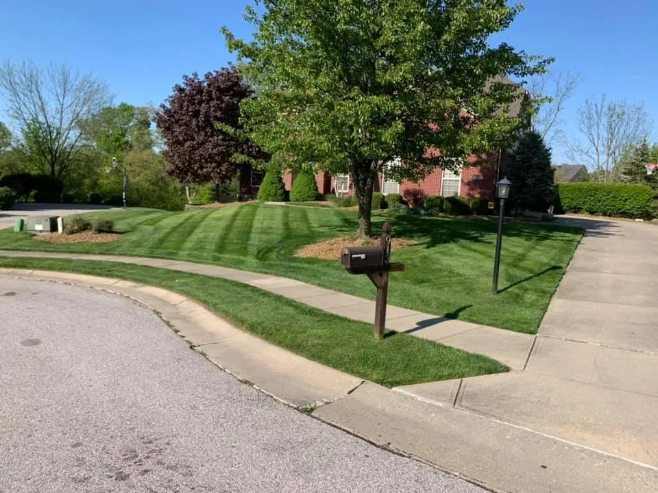 Professional yard cleanup service in Crittenden, KY - Pure Green