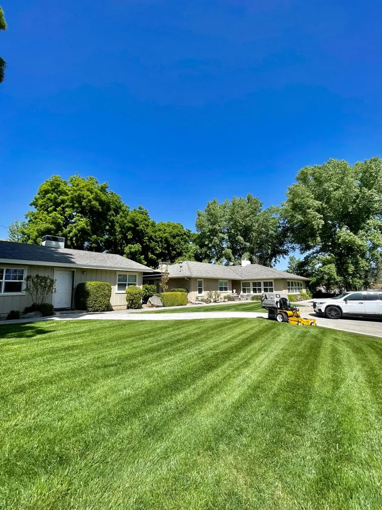 Professional yard maintenance experts serving Porterville, CA - Pure green landscaping & management