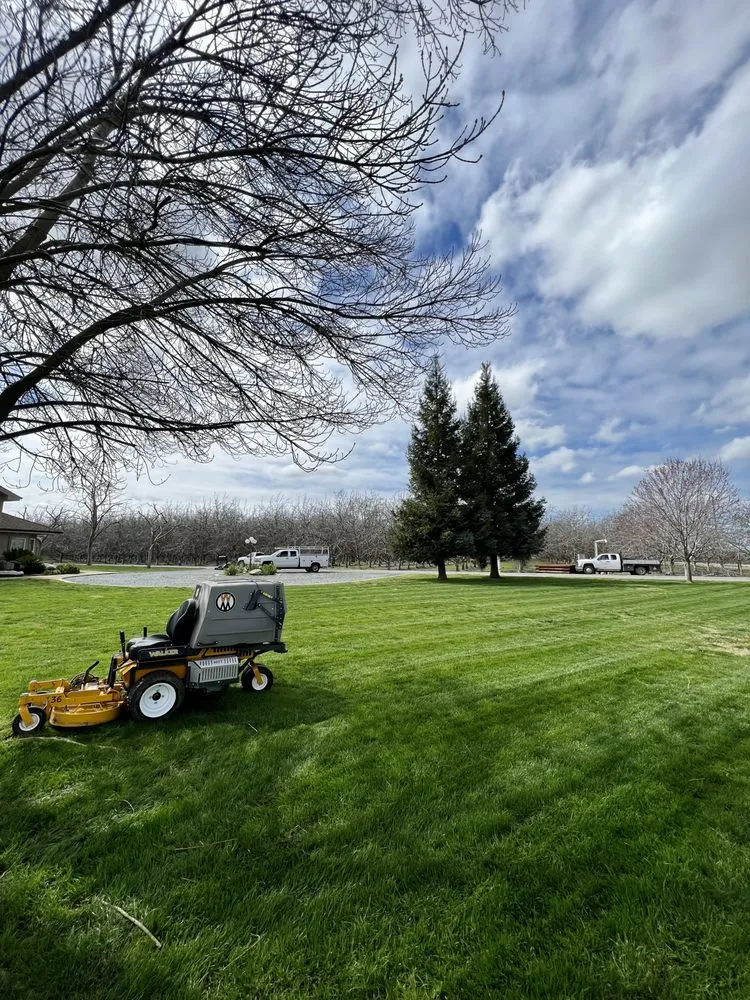 Trusted outdoor landscaping in Porterville, CA - Pure green landscaping & management