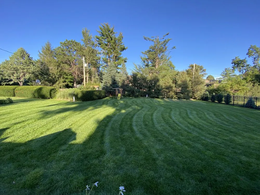 Affordable outdoor landscaping for year-round maintenance in Omaha, NE by Pure Green Lawn Care