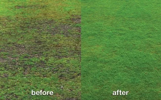 Expert residential landscaping for beautiful yards across Byron, MN - Pure Green Lawn Service