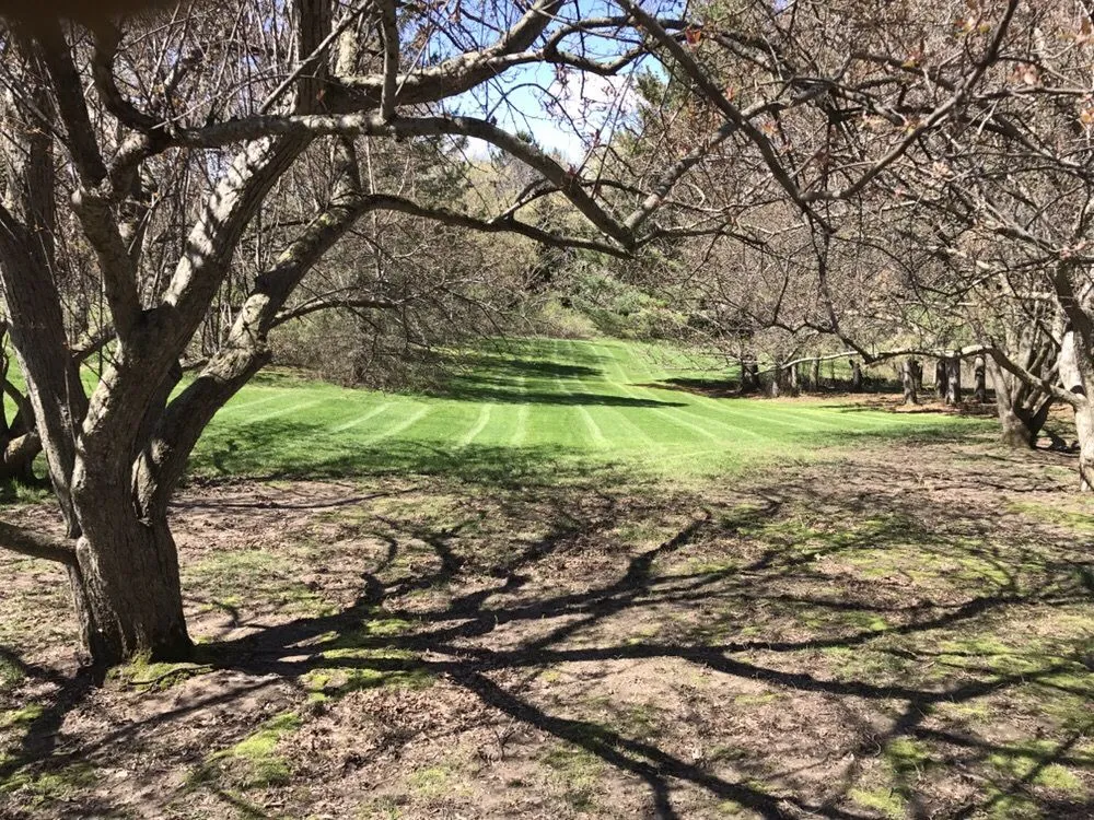 Professional outdoor landscaping in Byron, MN - Pure Green Lawn Service