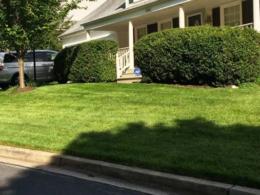 Trusted yard cleanup service near you in Byron, MN by Pure Green Lawn Service