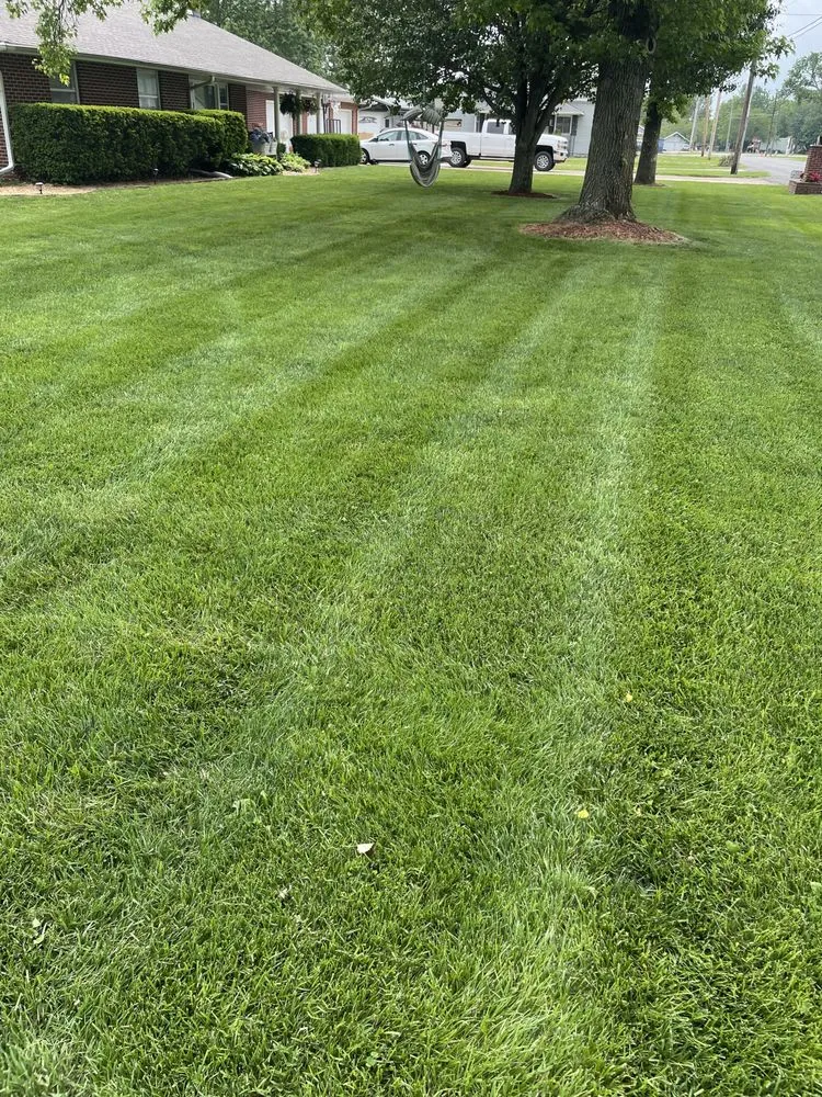 Top-rated yard maintenance experts serving Frontenac, KS - Pure Green Lawn Service