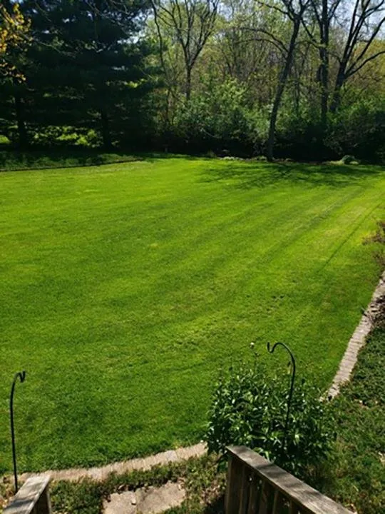 Top-rated landscaping services for homes across Canton, IL - Pure Green Lawn Services