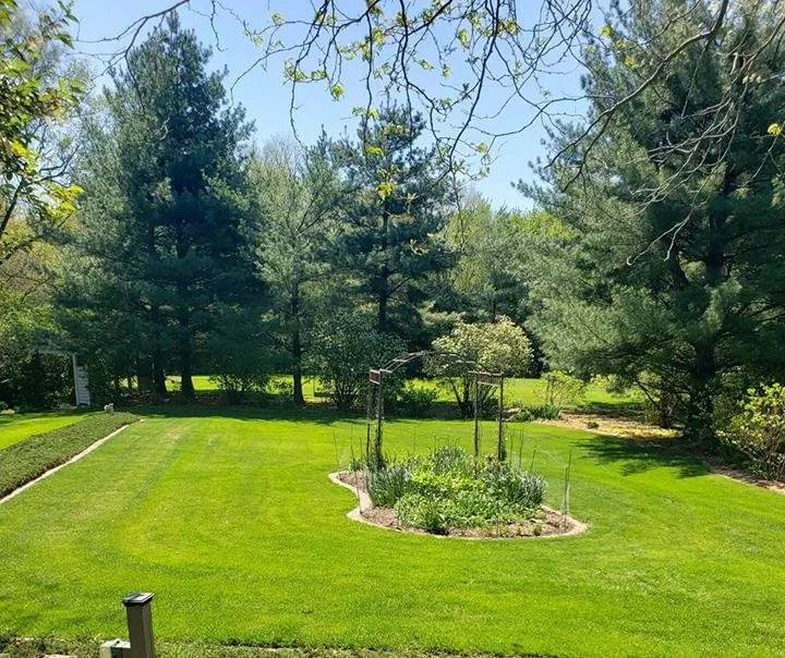 Professional residential landscaping for beautiful yards across Canton, IL - Pure Green Lawn Services