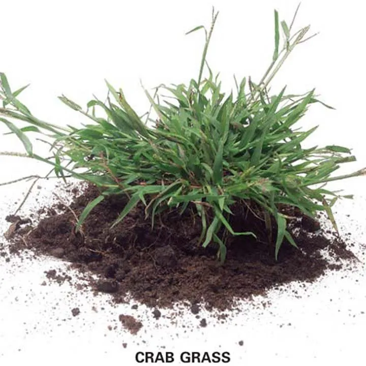 Local landscape installation experts serving Canton, IL - Pure Green Lawn Services