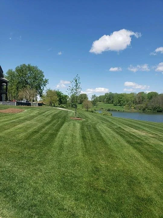 Expert garden landscaping for year-round maintenance across Canton, IL - Pure Green Lawn Services