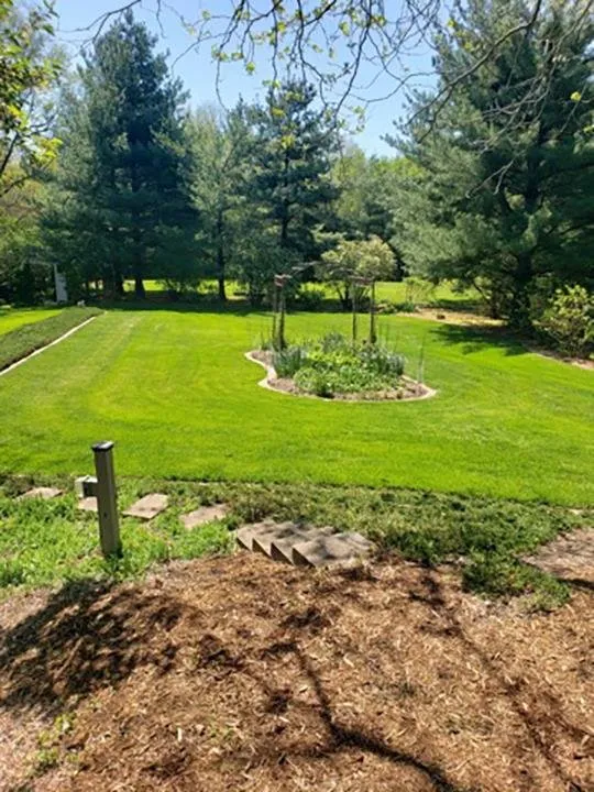 Reliable lawn mowing service in Canton, IL by Pure Green Lawn Services