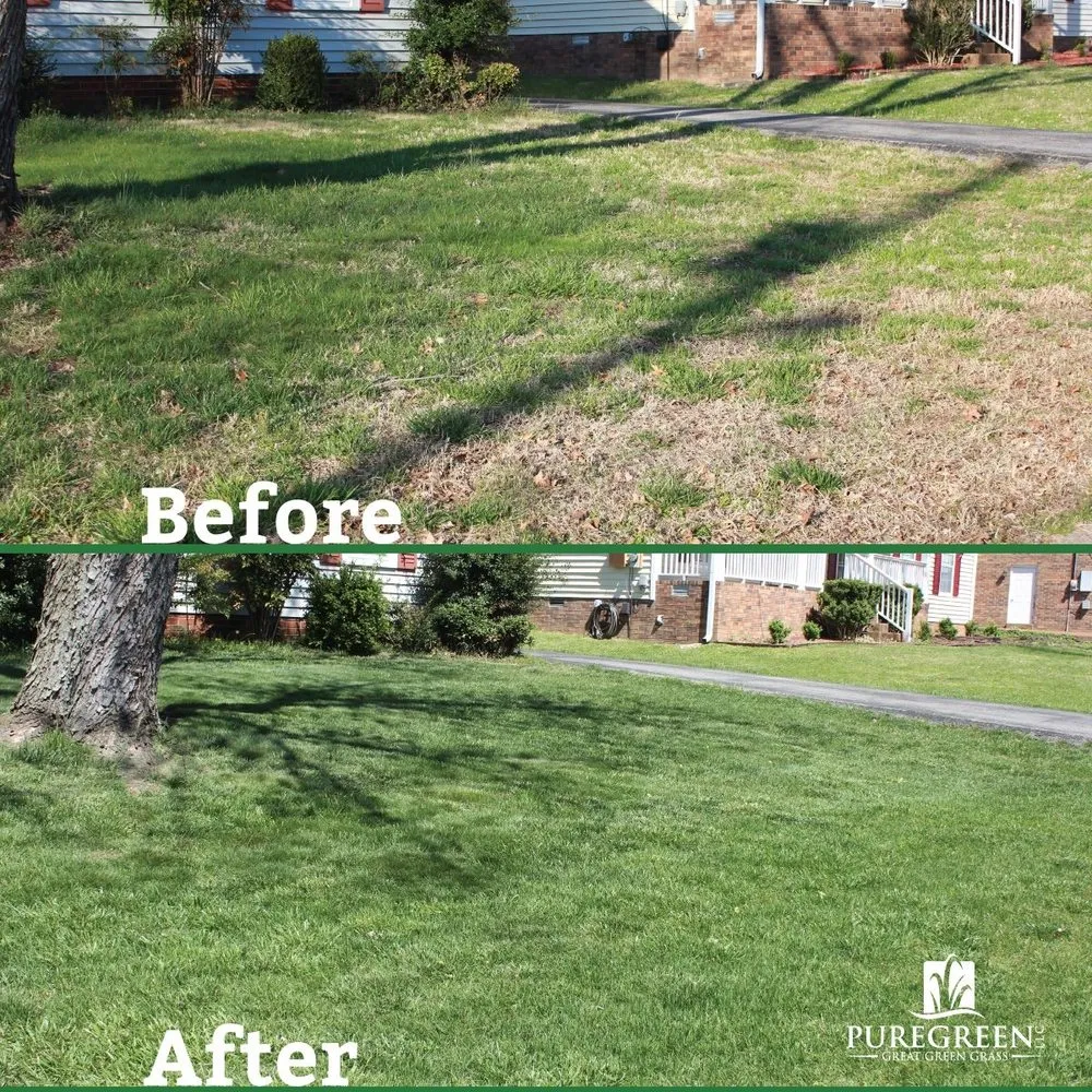 Top-rated yard maintenance for beautiful yards in Nashville, TN by Pure Green