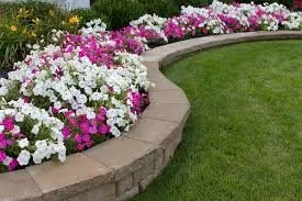 Expert landscape design experts serving Littleton, CO - Pure Landscaping and More