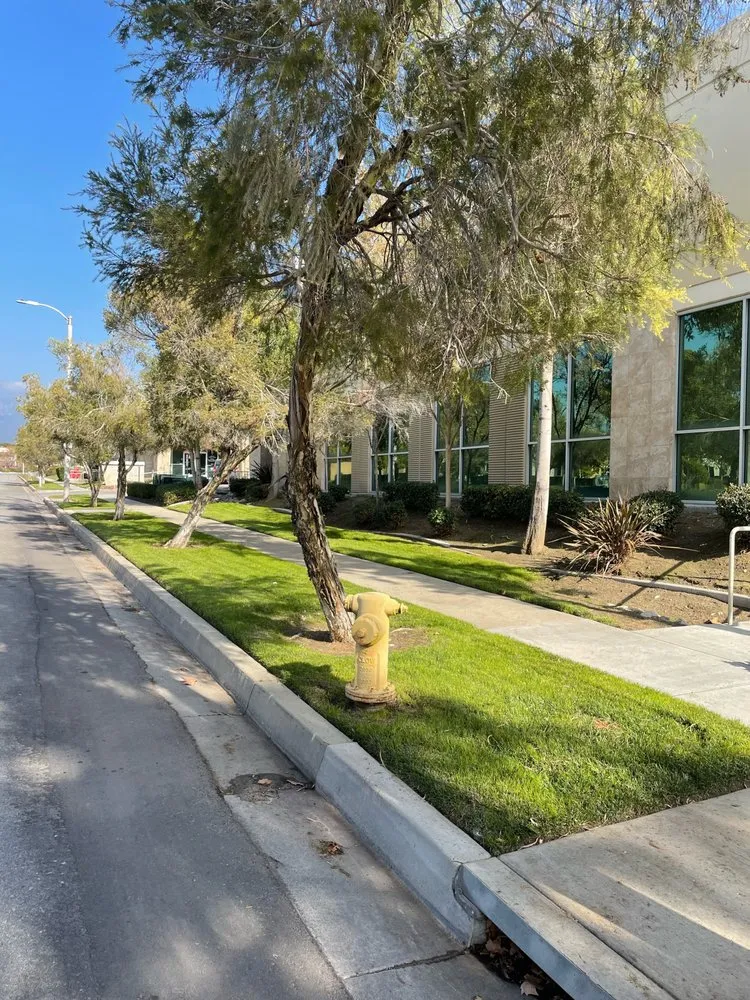 Affordable yard maintenance in Fontana, CA by Pure Landscaping Services