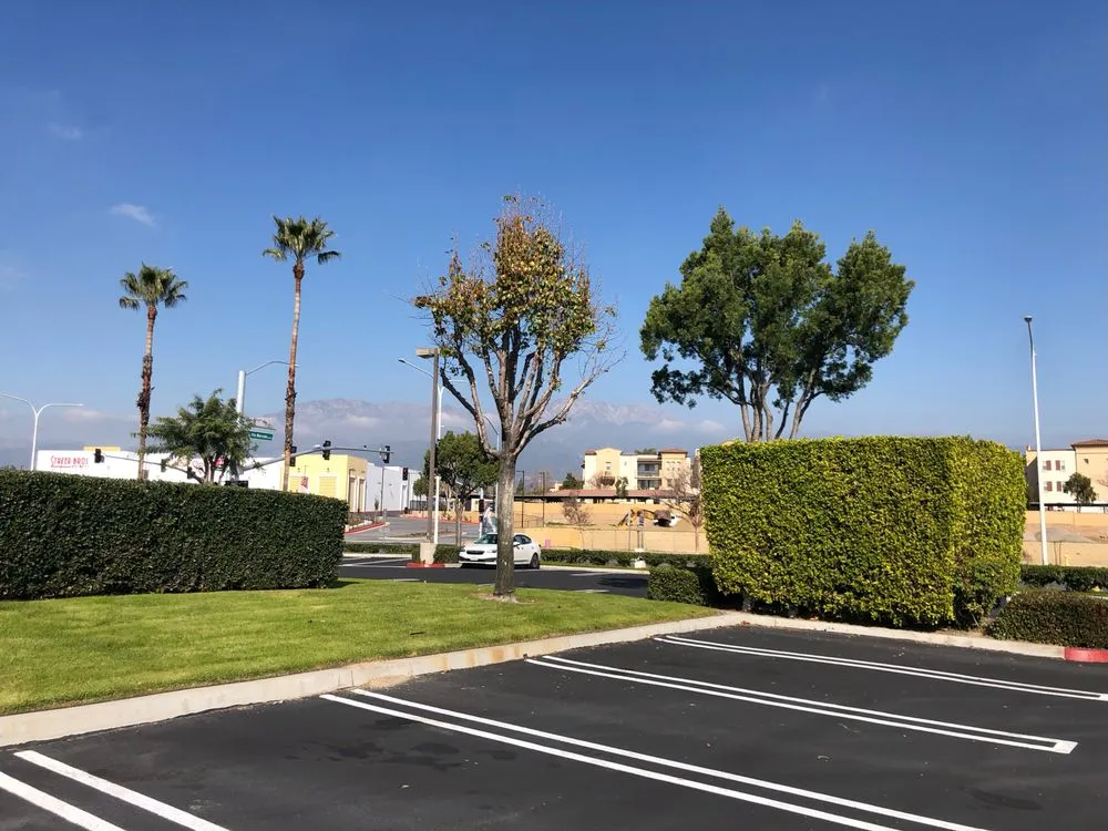 Trusted outdoor landscaping in Fontana, CA by Pure Landscaping Services