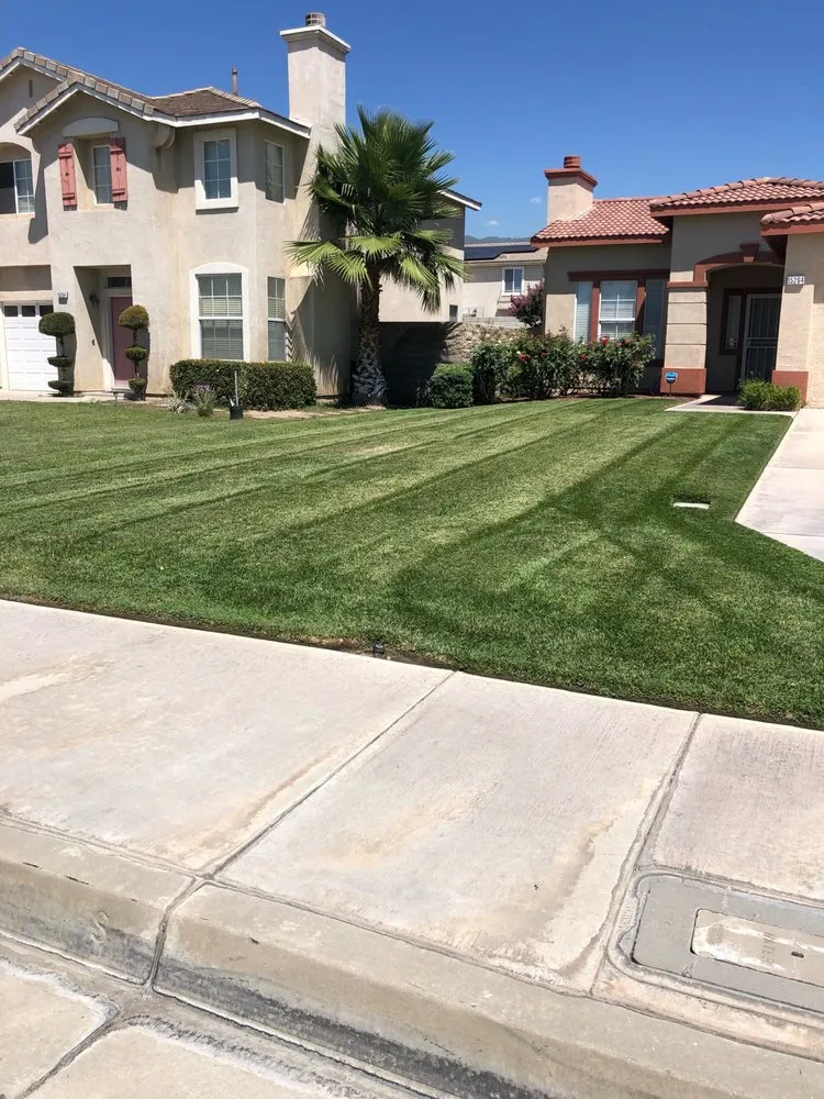 Local yard maintenance experts serving Fontana, CA - Pure Landscaping Services