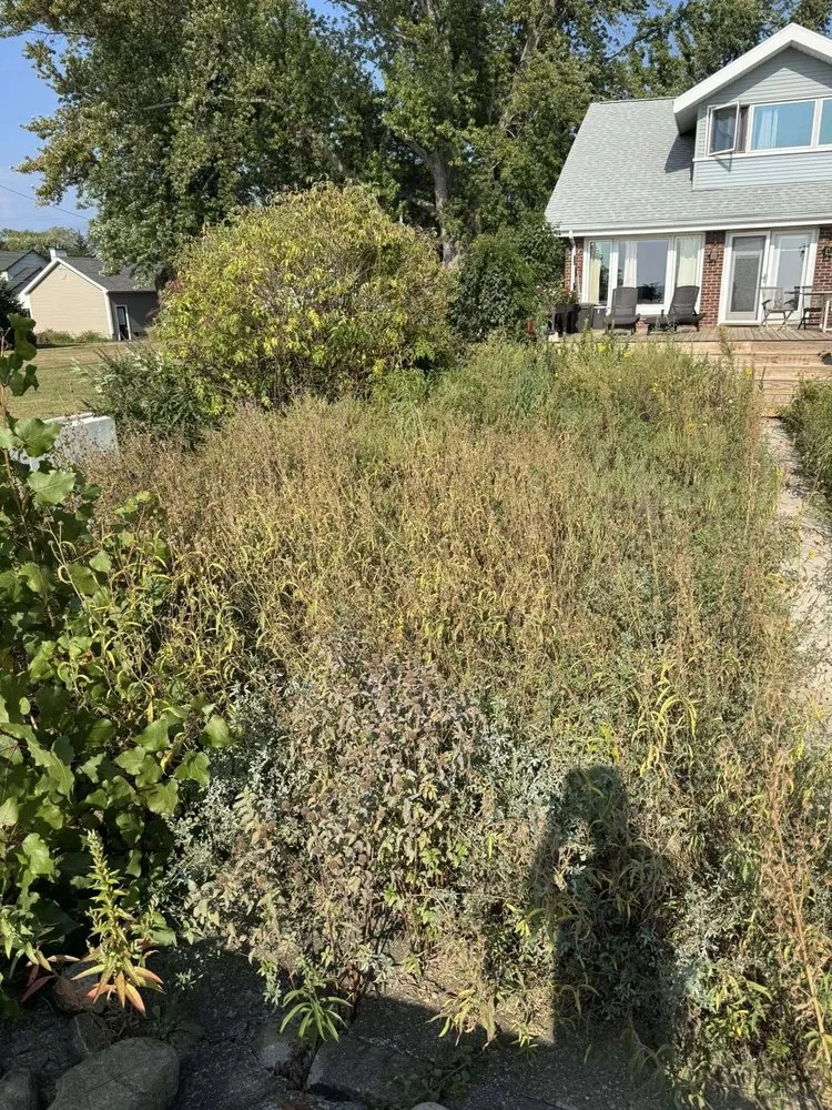 Professional yard maintenance experts serving Monroe, MI - Pure Lawn and Landscape