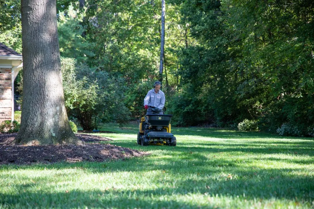 Trusted lawn care service in Fenton, MO - Pure Lawn