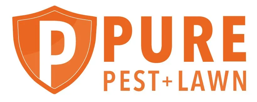 Expert landscape design in Fenton, MO - Pure Lawn