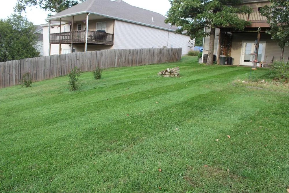 Trusted yard cleanup service with custom design across Webb City, MO - Pure Lawn Management